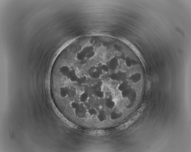 X0000112000957200908241430