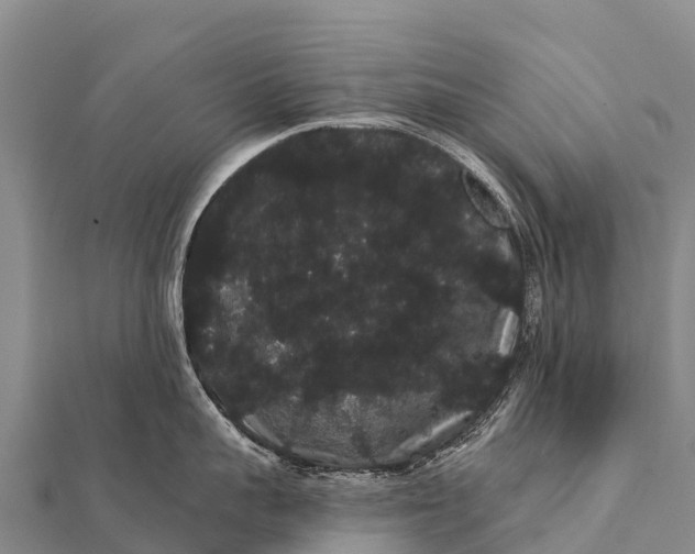 X0000112000959200908241430