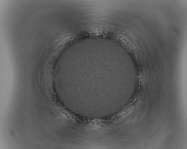 X0000112000961200908241429