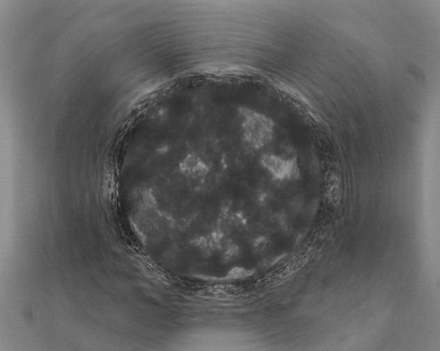 X0000112000966200908241429