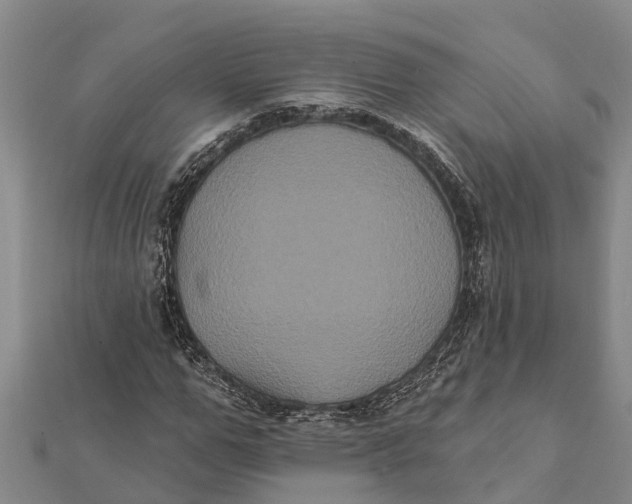 X0000112000967200908241429