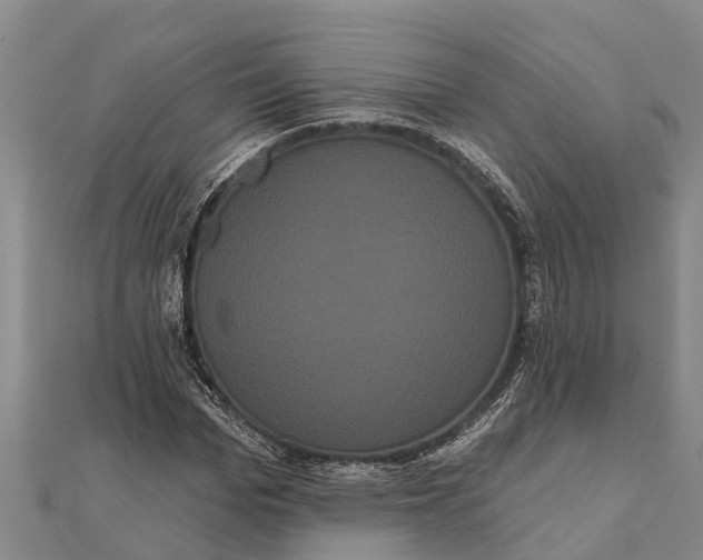 X0000112000969200908241429