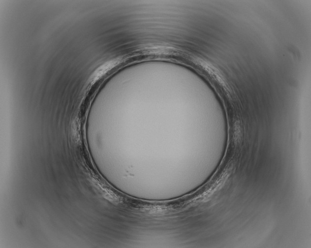 X0000112000970200908241429