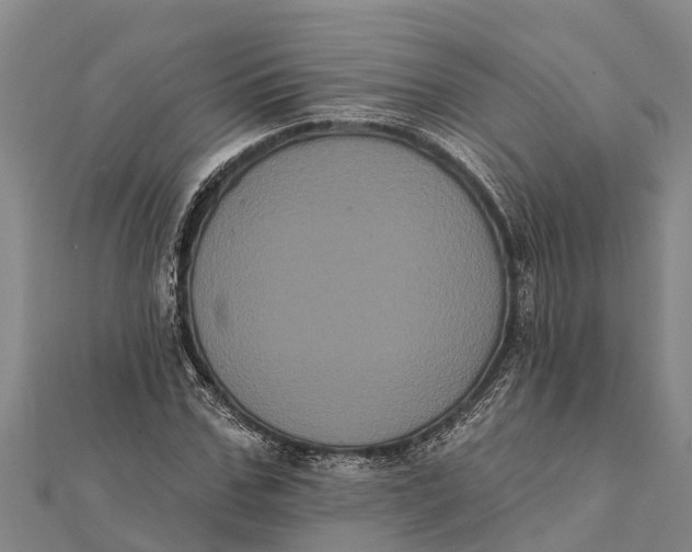 X0000112000971200908241429