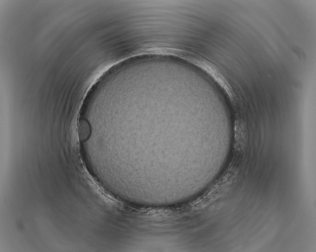 X0000112000972200908241429