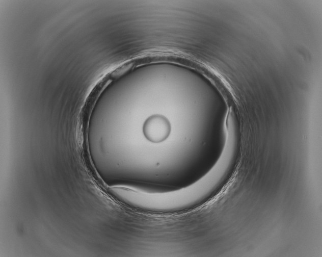 X0000112000973200908241429