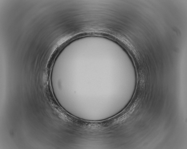 X0000112000974200908241429