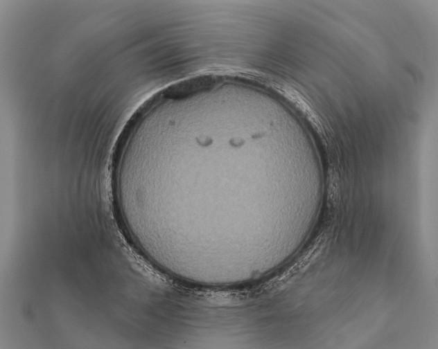 X0000112000976200908241429