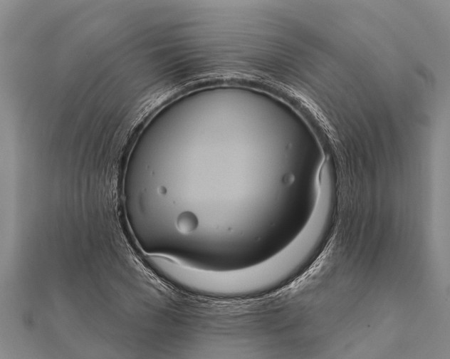 X0000112000977200908241429