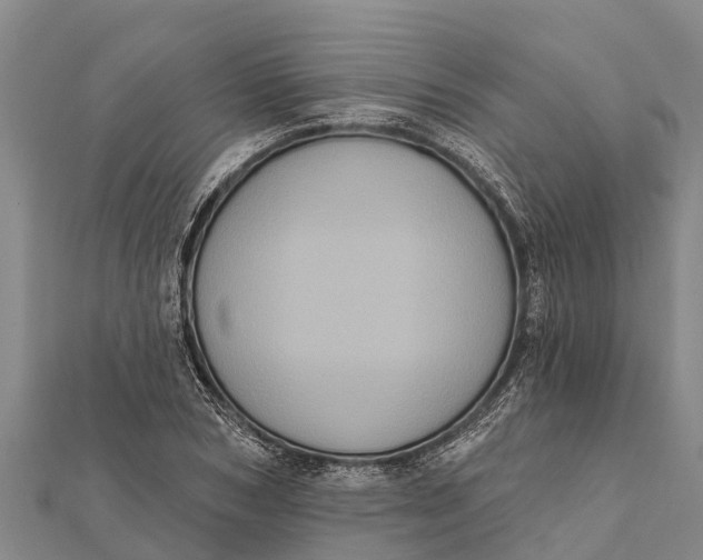 X0000112000978200908241429