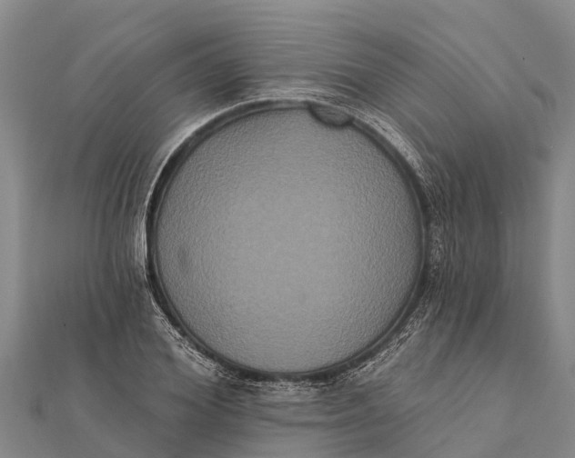 X0000112000980200908241429