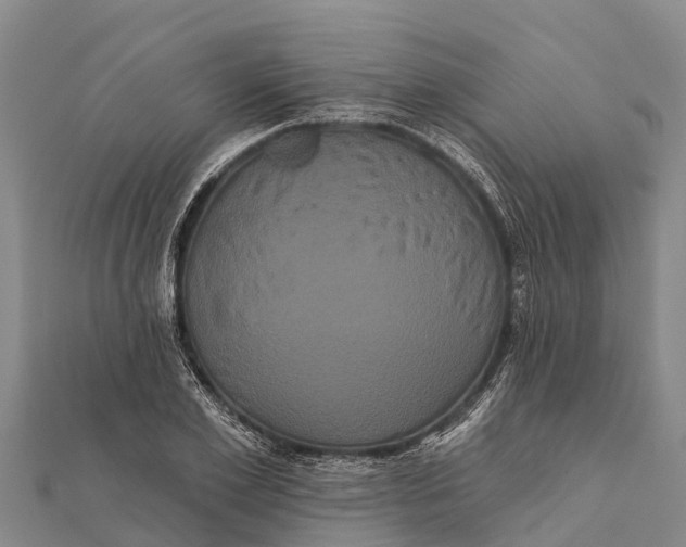 X0000112000981200908241429