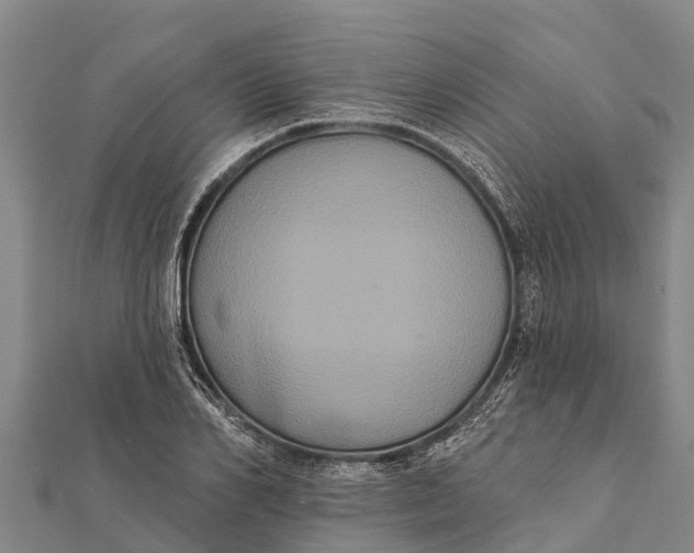 X0000112000982200908241429