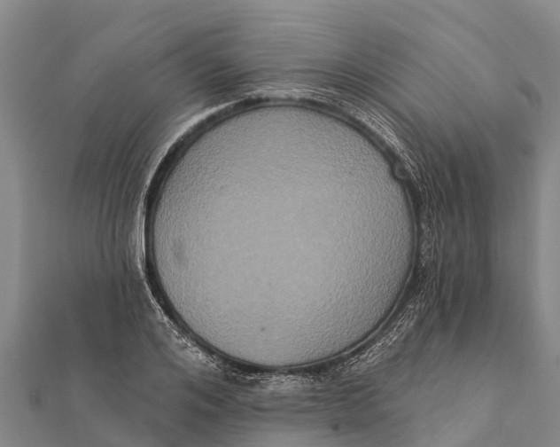 X0000112000984200908241429