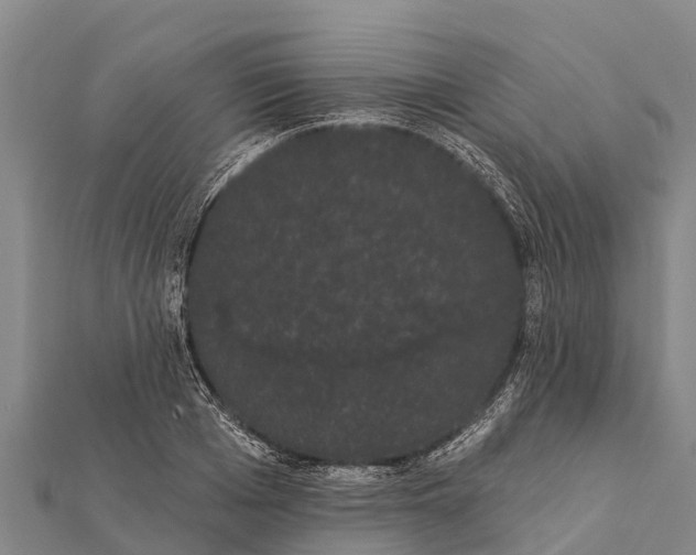 X0000112000985200908241429