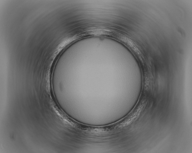 X0000112000986200908241429