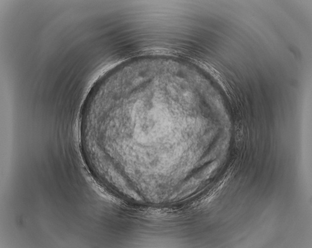 X0000112000987200908241429