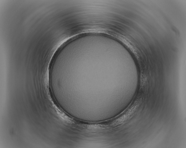 X0000112000988200908241429