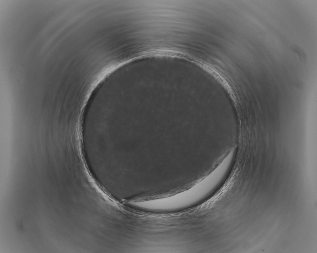 X0000112000989200908241429