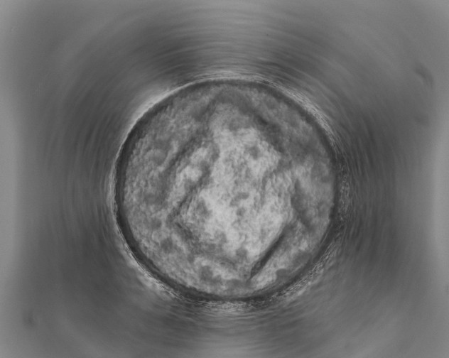 X0000112000991200908241429