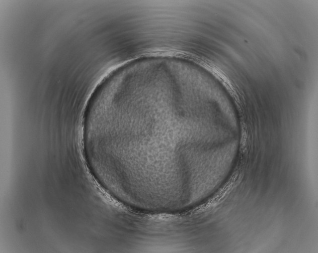 X0000112000992200908241429