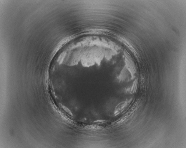 X0000112000994200908241429