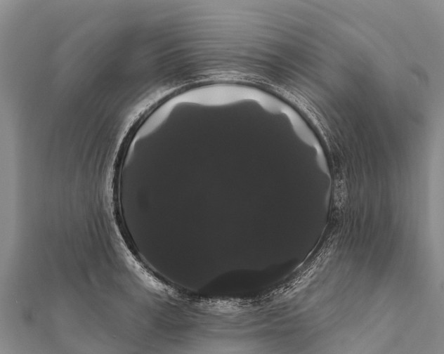 X0000112000995200908241429