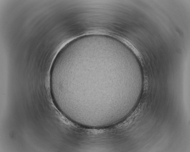 X0000112000996200908241429