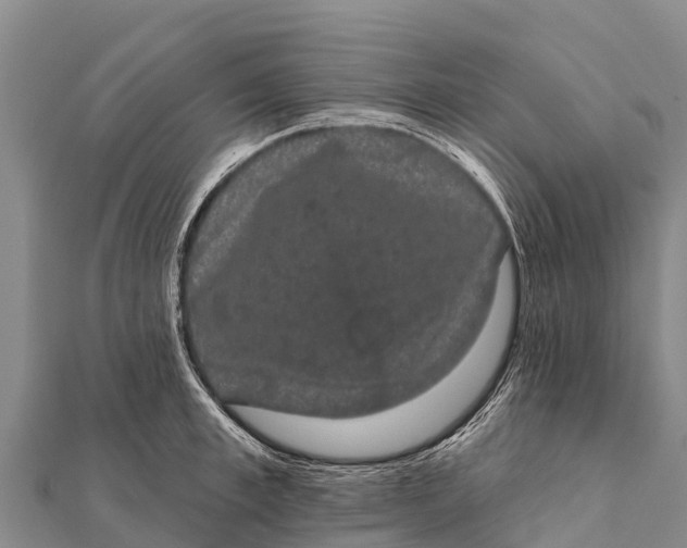 X0000112000997200908241429