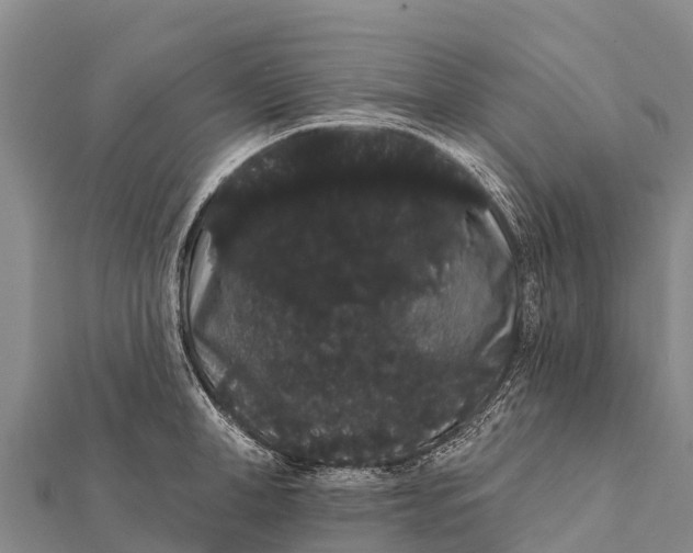 X0000112000998200908241429