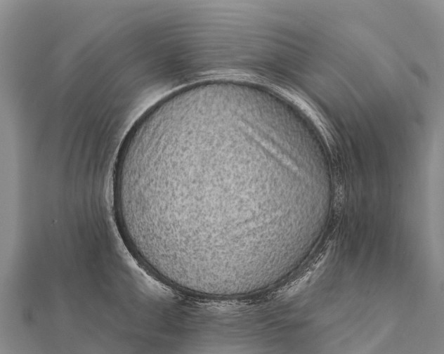 X0000112000999200908241429