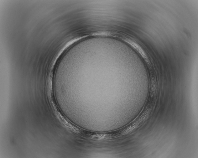 X0000112001000200908241429