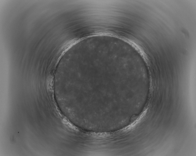 X0000112001001200908241429