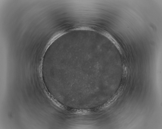 X0000112001002200908241429