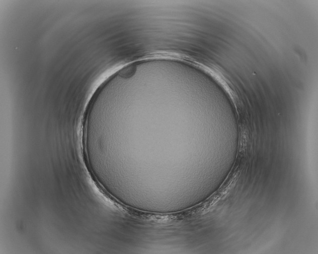 X0000112001003200908241429