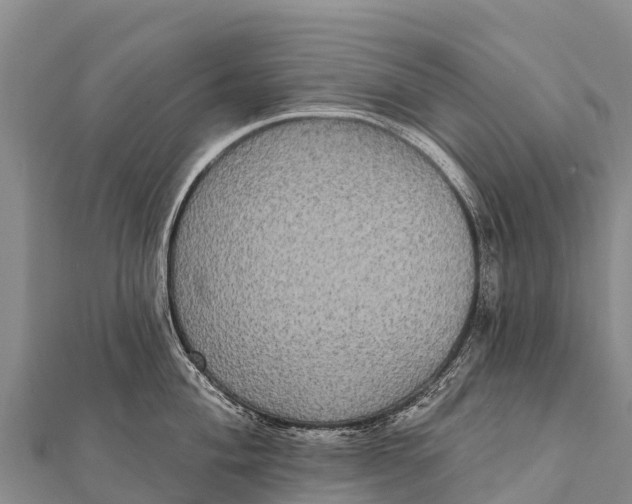 X0000112001004200908241429