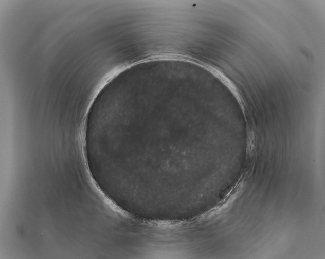 X0000112001005200908241429