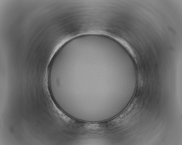 X0000112001006200908241429