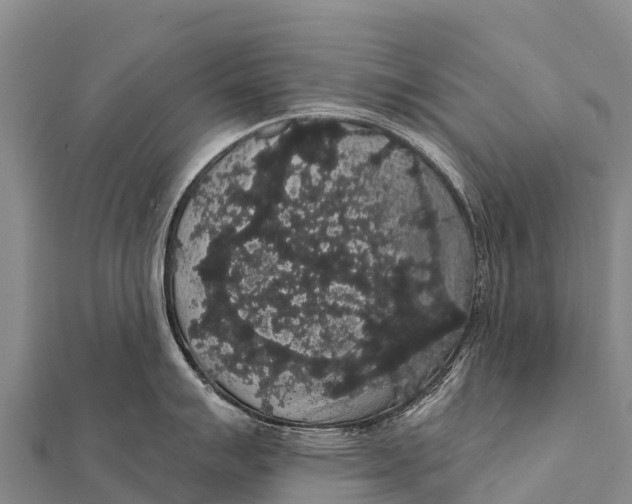 X0000112001007200908241429