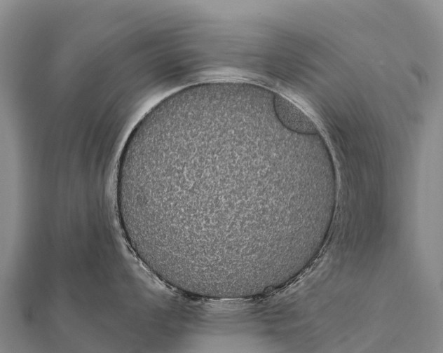 X0000112001008200908241429