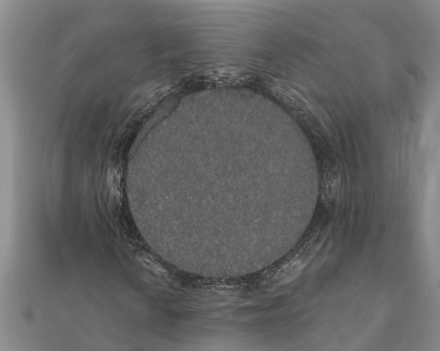 X0000112001010200908241428