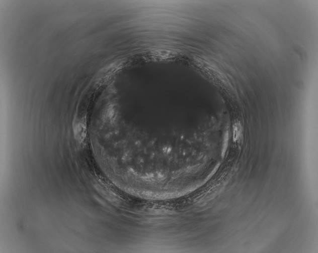 X0000112001011200908241428