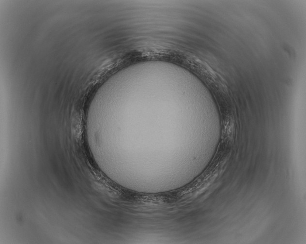 X0000112001012200908241428