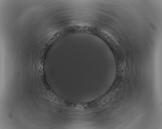 X0000112001013200908241428