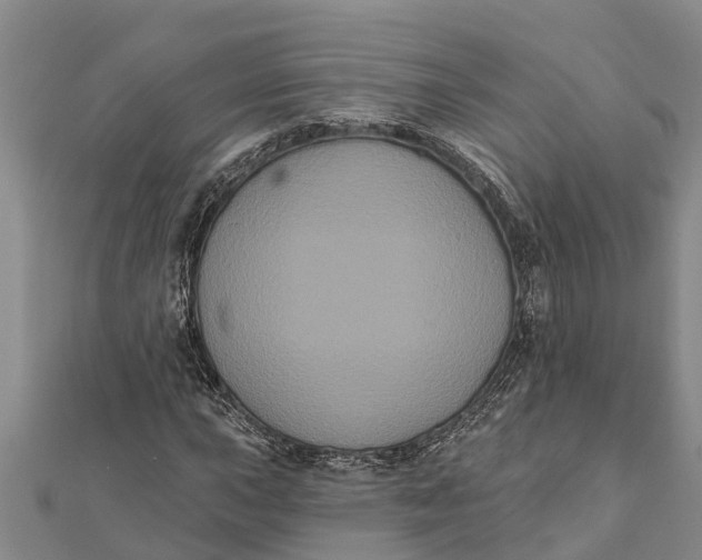 X0000112001015200908241428