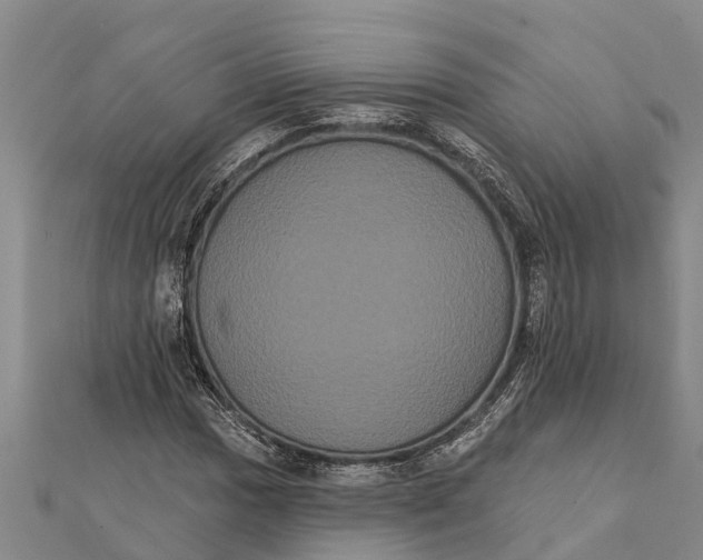 X0000112001017200908241428