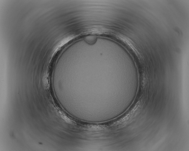 X0000112001018200908241428