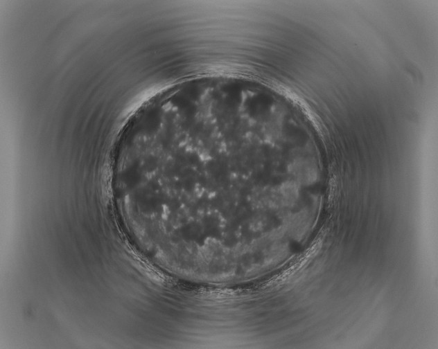 X0000112001019200908241428