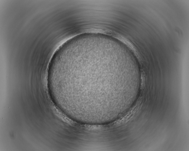 X0000112001020200908241428