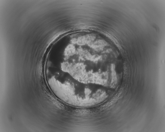 X0000112001023200908241428